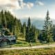 Wildwest auf Steirisch