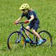 Die schönsten Mountainbike-Touren in der Schweiz