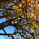 Bunte Wanderungen für die Herbstzeit