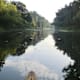 Donau-Auen: Eine Kanufahrt in die sanfte Wildnis