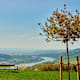 Nibelungengau: Weitwandern an der Donau