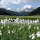Wandern im Naturpark Riedingtal
