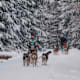 Winter im Thüringer Wald