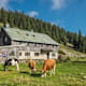 Die stillen Nachbarn der Kampenwand: Wanderungen im westlichen Chiemgau
