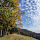 Bunte Wanderungen für den Herbst
