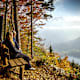 8 Tourentipps: Wo der Herbst am schönsten ist!
