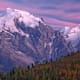 Bergportrait: Ortler (3.905 m)