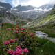 Das Zillertal - Klettern und Bergsteigen
