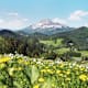 Gemütlich ins Gebirge