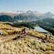 Mountainbike: Auf dem Bernina Express