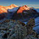 Bergportrait: Aletschhorn (4.195 m)