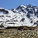 Grün-weiße Touren in der Schweiz