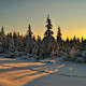 Winterwandern im Naturpark Schwarzwald
