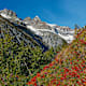 Höhenwege im Wallis: 3 Tourentipps