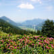 Wandern: Auf den Breitenstein in Bayern