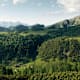 Oberösterreichisches Ennstal - von wilden Wäldern und bizarren Felsen