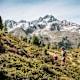 Wandern im Tiroler Ötztal