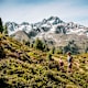 Wandern: Aufs Faltegartenköpfl in Tirol