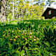 Wandern in Schaffhausen: 5 Tourentipps