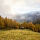 Weite Almen in goldenem Glanz: Herbstleuchten in der Dolomiten Panoramaregion Gsiesertal