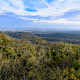 Stadtnah: Auf den Hermannskogel