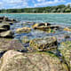 Der Rhein: Naturerlebnisse in Deutschland und der Schweiz