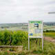 Kleiner Mainzer Höhenweg