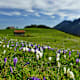 7 sonnige Frühlingswanderungen
