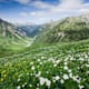 5 einsame Wanderregionen in den Alpen