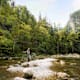 Wandern und Fliegenfischen an der Schwarza