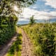 Märkischer Landweg: Weitwandern durch die Uckermark