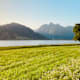 Seensucht: 5 Wanderungen an Schweizer Seen
