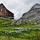 März-Favoriten: Die 5 beliebtesten Hütten