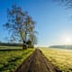 10 abwechslungsreiche Touren im Odenwald
