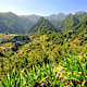 Die schönsten Wanderungen auf Madeira