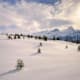 Wilder Naturgenuss: 6 Skitouren in den Albula Alpen