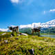 5 Wanderungen in der Zentralschweiz