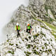 3 Tipps und 3 Touren im Tannheimer Tal