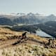 Die schönsten Mountainbiketouren fürs Frühjahr