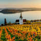 7 Wanderungen für den Herbst