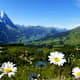 Wandern im Berner Oberland: Durchs Reichenbachtal