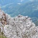 7 spektakuläre Bergtouren in Ostösterreich
