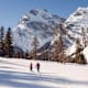 Die 6 schönsten Schneeschuhwanderungen am Achensee
