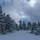 Drei Winterwanderungen auf der Schwäbischen Alb