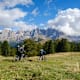 Die schönsten Mountainbike-Reviere im Alpenraum