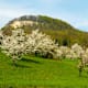Wandern: Von Hersberg nach Ormalingen