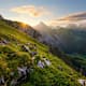 5 Touren für Frühaufsteher in Bayern und Österreich
