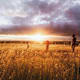 Wandern, wo die Sonne scheint