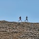 10 aussichtsreiche Trails in Tirol, Bayern und Oberösterreich