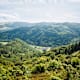 Vive les Vosges